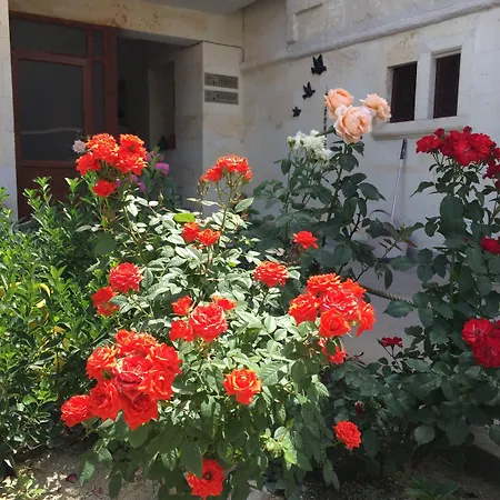 酒店 Cappadocia Ozbek Stone House 格雷梅