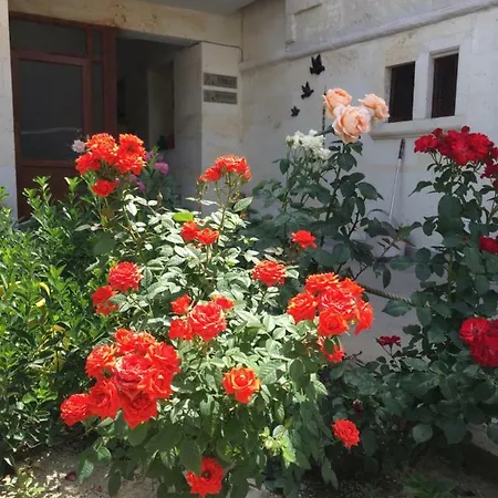 Cappadocia Ozbek Stone House Hotel Göreme