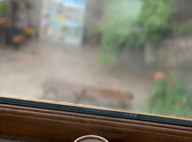 Cappadocia Ozbek Stone House Hotel Goreme